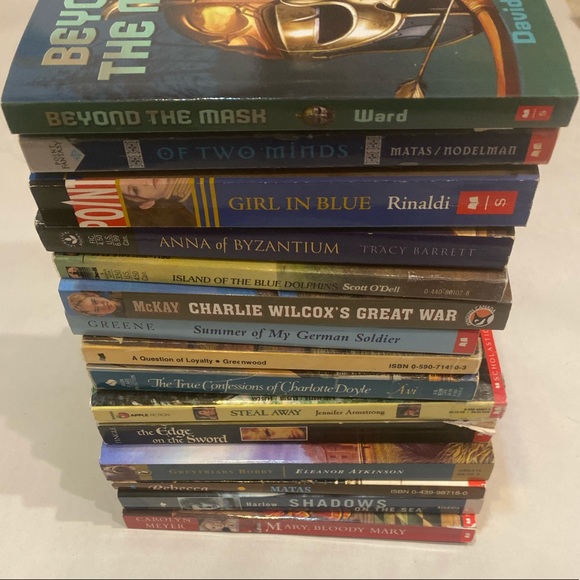 Set of 15 Historical Fiction YA Novels Teen Bulk History Drama Chapter Books - Picture 12 of 14